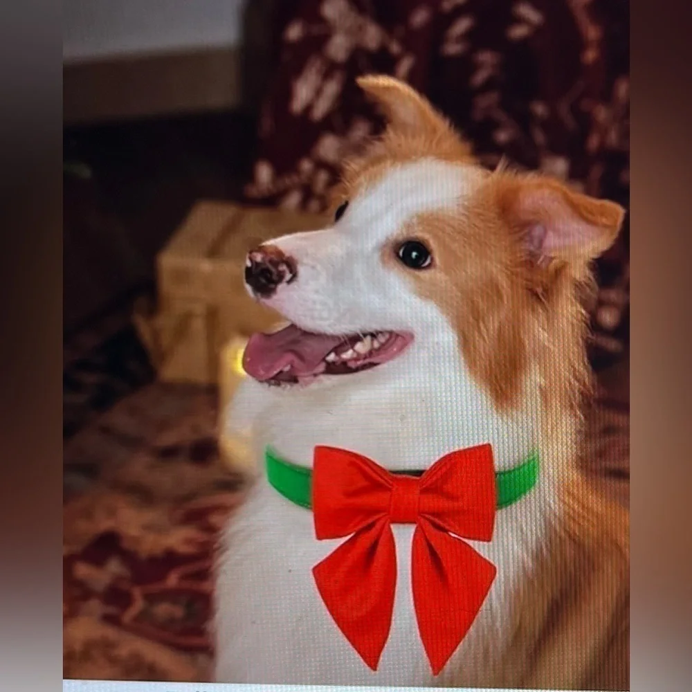 Maca Bates Christmas Red Green Dog Collar with Bow Tie NWOT